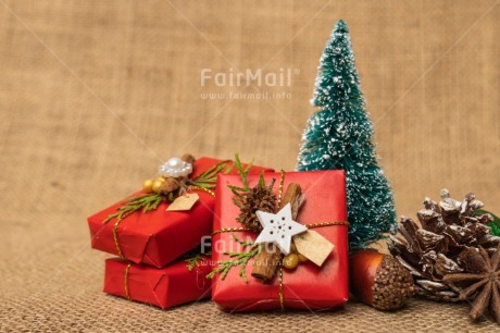 Fair Trade Photo Christmas, Christmas decoration, Christmas tree, Object, Pine cone, Present