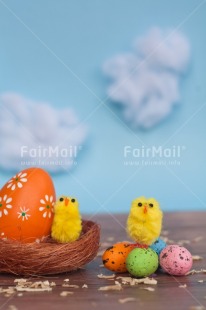 Fair Trade Photo Adjective, Animals, Chick, Cloud, Colour, Easter, Egg, Food and alimentation, Nature, Nest, Object, Vertical