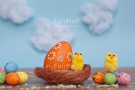 Fair Trade Photo Adjective, Animals, Chick, Cloud, Colour, Easter, Egg, Food and alimentation, Horizontal, Nature, Nest, Object