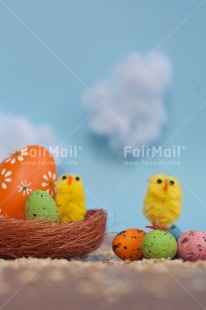 Fair Trade Photo Adjective, Animals, Chick, Cloud, Colour, Easter, Egg, Food and alimentation, Horizontal, Nature, Nest, Object