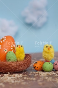 Fair Trade Photo Adjective, Animals, Chick, Cloud, Colour, Easter, Egg, Food and alimentation, Nature, Nest, Object, Vertical