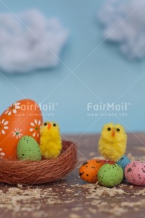 Fair Trade Photo Adjective, Animals, Chick, Cloud, Colour, Easter, Egg, Food and alimentation, Nature, Nest, Object, Vertical