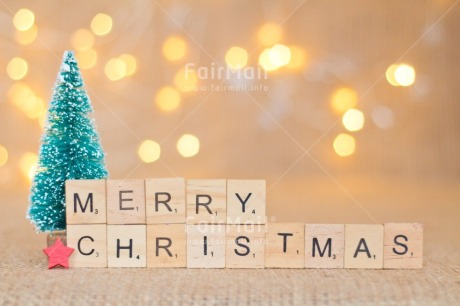 Fair Trade Photo Activity, Adjective, Celebrating, Christmas, Christmas decoration, Christmas tree, Colour, Horizontal, Letter, Light, Nature, Object, Present, Red, Star, Text