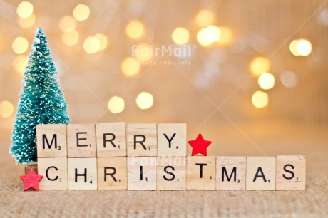 Fair Trade Photo Activity, Adjective, Celebrating, Christmas, Christmas decoration, Christmas tree, Colour, Horizontal, Letter, Light, Nature, Object, Present, Red, Star, Text