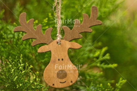 Fair Trade Photo Activity, Adjective, Animals, Celebrating, Christmas, Christmas decoration, Christmas tree, Colour, Green, Horizontal, Nature, Object, Pine, Present, Reindeer, Wood