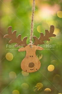 Fair Trade Photo Activity, Adjective, Animals, Celebrating, Christmas, Christmas decoration, Christmas tree, Colour, Green, Light, Nature, Object, Pine, Present, Reindeer, Vertical, Wood