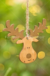 Fair Trade Photo Activity, Adjective, Animals, Celebrating, Christmas, Christmas decoration, Christmas tree, Colour, Green, Light, Nature, Object, Pine, Present, Reindeer, Vertical, Wood
