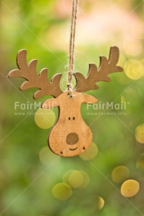 Fair Trade Photo Activity, Adjective, Animals, Celebrating, Christmas, Christmas decoration, Christmas tree, Colour, Green, Light, Nature, Object, Pine, Present, Reindeer, Vertical, Wood