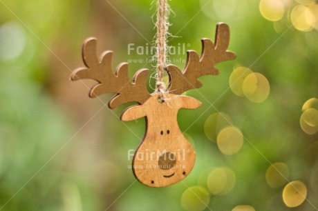 Fair Trade Photo Activity, Adjective, Animals, Celebrating, Christmas, Christmas decoration, Christmas tree, Colour, Green, Horizontal, Light, Nature, Object, Pine, Present, Reindeer, Wood