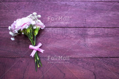 Fair Trade Photo Birthday, Colour, Congratulations, Flower, Friendship, Love, Marriage, Mom, Mother, Mothers day, Nature, New beginning, New home, People, Pink, Sorry, Thank you, Thinking of you, Valentines day, Wedding, Well done, White, Wood