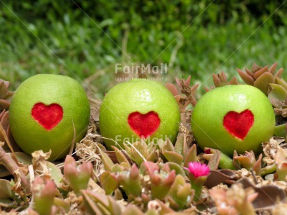 Fair Trade Photo Apple, Colour image, Food and alimentation, Fruits, Heart, Horizontal, Love, Peru, South America, Valentines day