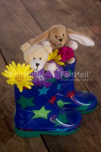 Fair Trade Photo Animals, Bear, Blue, Boot, Colour image, Flowers, Multi-coloured, Peru, Rabbit, Rain, Shoe, South America, Star, Vertical, Wood