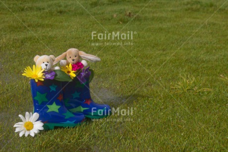 Fair Trade Photo Animals, Bear, Blue, Boot, Colour image, Flowers, Grass, Green, Horizontal, Multi-coloured, Peru, Rabbit, Rain, Shoe, South America, Star, Water