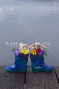 Fair Trade Photo Animals, Bear, Blue, Boot, Colour image, Flowers, Multi-coloured, Outdoor, Peru, Rabbit, Rain, Shoe, South America, Star, Vertical, Water, Wood