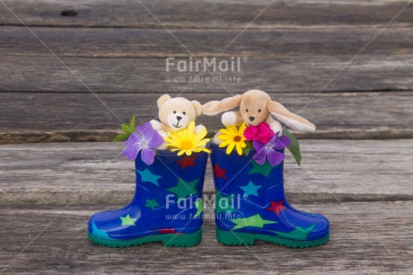 Fair Trade Photo Animals, Bear, Blue, Boot, Colour image, Flowers, Horizontal, Multi-coloured, Outdoor, Peru, Rabbit, Rain, Shoe, South America, Star, Wood