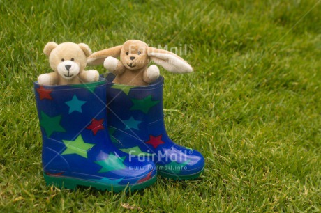 Fair Trade Photo Animals, Bear, Blue, Boot, Colour image, Grass, Green, Horizontal, Multi-coloured, Outdoor, Peru, Rabbit, Rain, Shoe, South America, Star