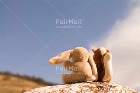 Fair Trade Photo Activity, Animals, Brother, Colour image, Day, Friendship, Horizontal, Love, Miss you, Nature, Outdoor, Peru, Rabbit, Sister, Sitting, South America, Squirrel, Toy, Valentines day