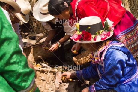Fair Trade Photo Activity, Clothing, Colour image, Cooking, Culture, Day, Food and alimentation, Group, Group of People, Hands, Helping, Horizontal, Latin, Outdoor, People, Peru, Potatoe, Rural, South America, Together, Traditional clothing