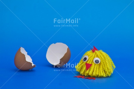 Fair Trade Photo Birth, Blue, Chick, Colour image, Colourful, Easter, Egg, Food and alimentation, Horizontal, New baby, Peru, South America, Yellow