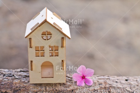 Fair Trade Photo Colour image, Flower, Home, Horizontal, Moving, New baby, Peru, Pink, South America, Welcome home