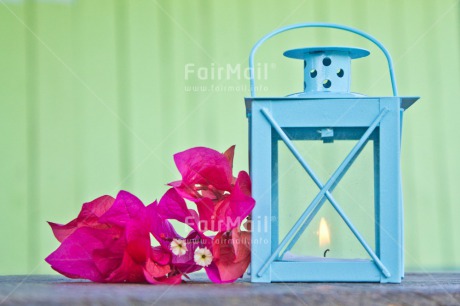 Fair Trade Photo Birthday, Blue, Candle, Colour image, Condolence-Sympathy, Emotions, Flame, Flower, Friendship, Get well soon, Hope, Horizontal, Lantern, Love, Mothers day, Peru, Pink, Sorry, South America, Tarapoto travel, Thank you, Thinking of you, Valentines day
