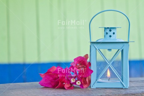 Fair Trade Photo Birthday, Blue, Candle, Colour image, Condolence-Sympathy, Emotions, Flame, Flower, Friendship, Get well soon, Hope, Horizontal, Lantern, Love, Mothers day, Peru, Pink, Sorry, South America, Tarapoto travel, Thank you, Thinking of you, Valentines day