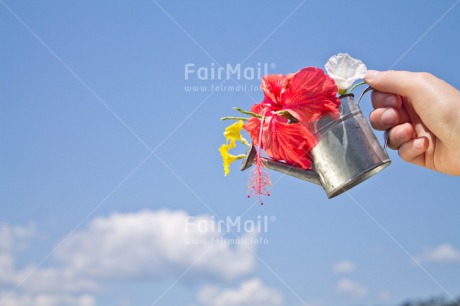 Fair Trade Photo Birthday, Colour image, Colourful, Flower, Friendship, Hand, Horizontal, New home, Peru, Sky, South America, Tarapoto travel, Thank you, Thinking of you, Watering can