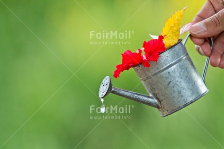 Fair Trade Photo Birthday, Colour image, Colourful, Flower, Friendship, Green, Hand, Horizontal, New home, Peru, South America, Tarapoto travel, Thank you, Thinking of you, Water, Waterdrop, Watering can