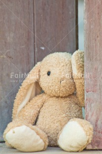 Fair Trade Photo Animals, Birthday, Colour image, Fathers day, Friendship, Love, Mothers day, New baby, Peluche, Peru, Rabbit, Sorry, South America, Thank you, Thinking of you, Valentines day, Wood