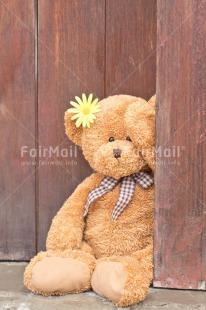 Fair Trade Photo Animals, Bear, Birthday, Colour image, Fathers day, Flower, Friendship, Love, Mothers day, New baby, Peluche, Peru, Sorry, South America, Teddybear, Thank you, Thinking of you, Valentines day, Wood, Yellow