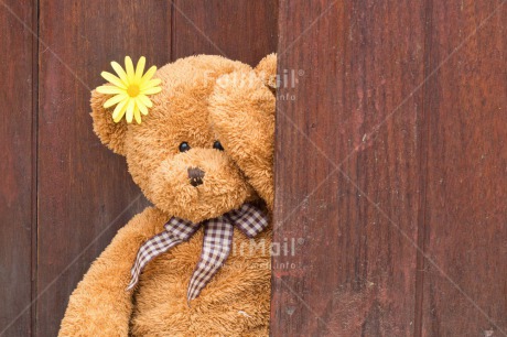 Fair Trade Photo Animals, Bear, Birthday, Colour image, Fathers day, Flower, Friendship, Love, Mothers day, New baby, Peluche, Peru, Sorry, South America, Teddybear, Thank you, Thinking of you, Valentines day, Wood, Yellow