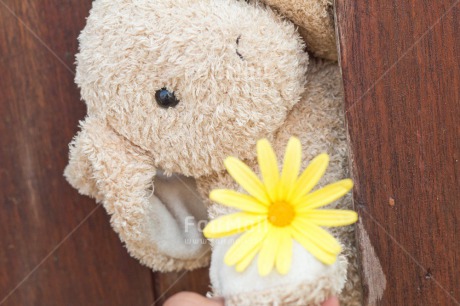 Fair Trade Photo Animals, Birthday, Colour image, Fathers day, Flower, Friendship, Love, Mothers day, New baby, Peluche, Peru, Rabbit, Sorry, South America, Thank you, Thinking of you, Valentines day, Wood, Yellow