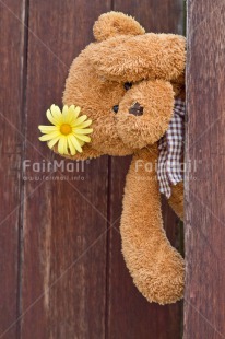 Fair Trade Photo Animals, Bear, Birthday, Colour image, Fathers day, Flower, Friendship, Love, Mothers day, New baby, Peluche, Peru, Sorry, South America, Teddybear, Thank you, Thinking of you, Valentines day, Wood, Yellow