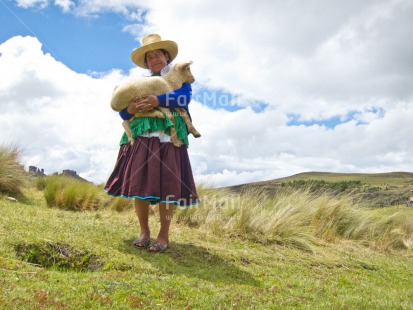 Fair Trade Photo Activity, Agriculture, Animals, Care, Clothing, Clouds, Day, Ethnic-folklore, Farmer, Grass, Horizontal, Latin, Looking at camera, One woman, Outdoor, People, Peru, Portrait fullbody, Rural, Sheep, Sky, Sombrero, South America, Traditional clothing