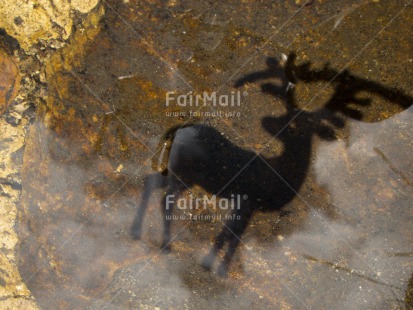 Fair Trade Photo Artistique, Christmas, Horizontal, Light, Peru, Reflection, Reindeer, River, Shadow, South America, Water