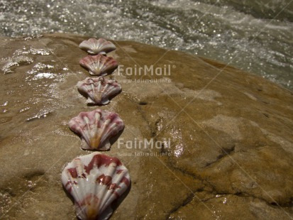 Fair Trade Photo Closeup, Day, Horizontal, Outdoor, Peru, River, Shell, South America, Stone, Water, Wellness