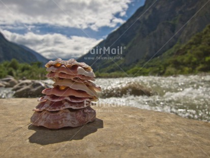 Fair Trade Photo Closeup, Day, Flower, Horizontal, Mountain, Outdoor, Peru, River, Rural, Shell, South America, Water, Wellness, Yellow