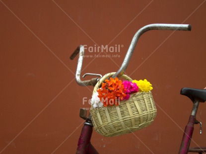 Fair Trade Photo Basket, Bicycle, Closeup, Colour image, Day, Flower, Friendship, Horizontal, Love, Mothers day, Outdoor, Peru, South America, Transport