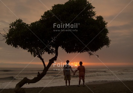 Fair Trade Photo Beach, Colour image, Evening, Friendship, Horizontal, Outdoor, People, Peru, Scenic, Sea, South America, Sunset, Together, Tree, Two boys, Water