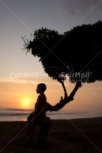 Fair Trade Photo 5 -10 years, Beach, Colour image, Emotions, Evening, Latin, Loneliness, One boy, Outdoor, People, Peru, Sea, Silhouette, South America, Sunset, Thinking of you, Tree, Vertical