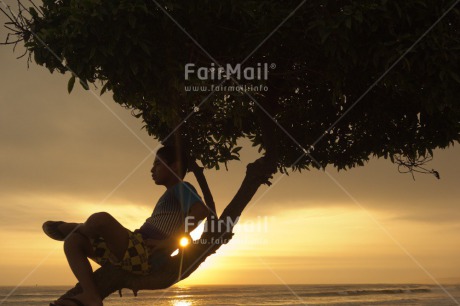 Fair Trade Photo Activity, Backlit, Beach, Colour image, Evening, Horizontal, One boy, Outdoor, People, Peru, Sea, Silhouette, Sitting, South America, Sunset, Tree