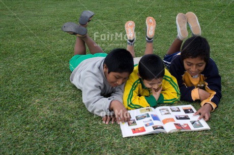 Fair Trade Photo 5 -10 years, Activity, Book, Casual clothing, Clothing, Colour image, Cooperation, Dailylife, Day, Education, Grass, Group of boys, Looking away, Outdoor, People, Peru, Portrait fullbody, Reading, South America, Streetlife, Together