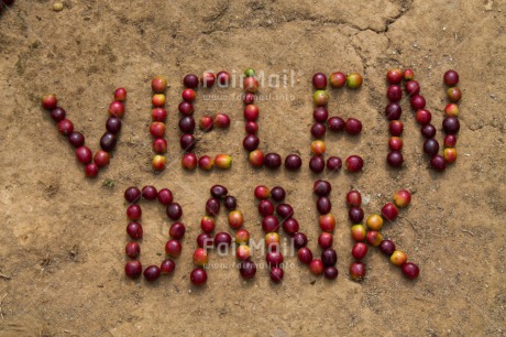 Fair Trade Photo Coffee, Colour image, Food and alimentation, Letter, Peru, South America, Thank you