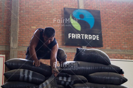 Fair Trade Photo Activity, Agriculture, Carrying, Coffee, Colour image, Factory, Fair trade, Food and alimentation, Latin, Letter, Peru, South America