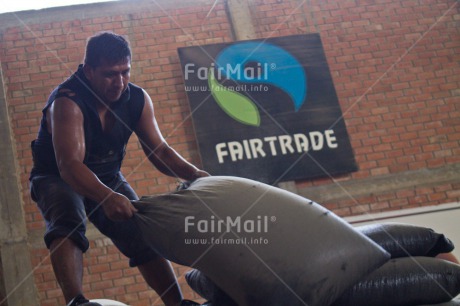 Fair Trade Photo Activity, Agriculture, Carrying, Coffee, Colour image, Factory, Fair trade, Food and alimentation, Latin, Letter, Peru, South America