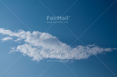 Fair Trade Photo Animals, Bird, Blue, Clouds, Freedom, Horizontal, Peru, Seasons, Sky, South America, Summer, White