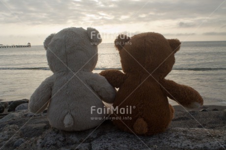 Fair Trade Photo Evening, Friendship, Horizontal, Love, Outdoor, Peru, Sea, South America, Teddybear, Together