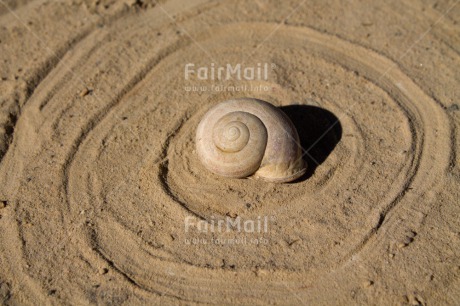 Fair Trade Photo Beach, Closeup, Colour image, Condolence-Sympathy, Horizontal, Peru, Sand, Shell, South America, Summer