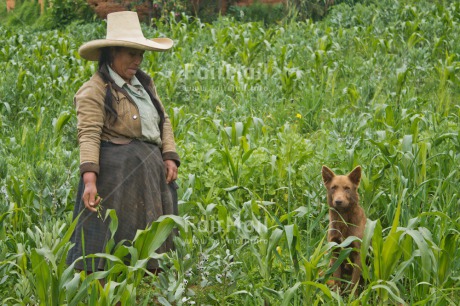 Fair Trade Photo Agriculture, Animals, Colour image, Dog, Farmer, Grass, Green, Hat, Horizontal, Latin, One woman, People, Peru, Portrait fullbody, Rural, Sombrero, South America