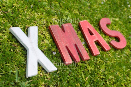 Fair Trade Photo Christmas, Closeup, Colour image, Day, Grass, Green, Horizontal, Letter, Outdoor, Peru, Red, South America